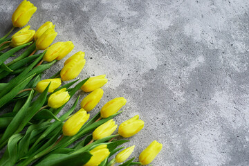 Background: yellow tulips on gray, the concept of spring, holiday, mother's day