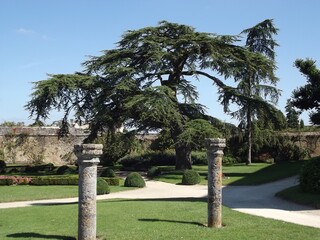 im Park des Chateau Montreuil-Bellay, Frankreich