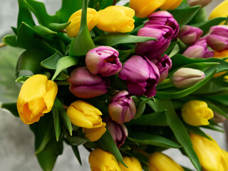 Background: a bouquet of purple tulips on gray, the concept of spring, holiday, mother's day.