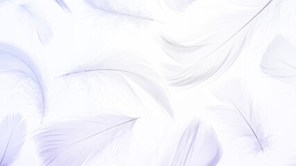 Fototapeta na wymiar Feather pattern concept. Multicoloured pastel angel feather closeup texture on white background in macro photography, soft focus. Elegant expressive artistic image fragility of nature. Copy space.