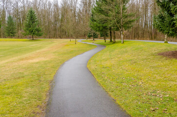 Obraz premium Fragment of Malcolm Lowry Trail trail in Cates Park, Vancouver, Canada