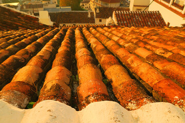 Roofs