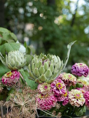 Fototapeta premium artichoke in the garden