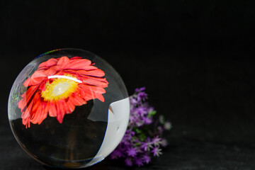 Blüten mit Glaskugel