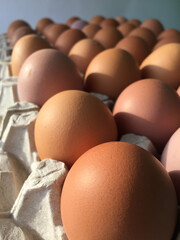 Brown chicken eggs in craft packaging