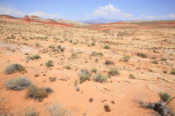 Fototapeta na wymiar Valley of Fire State Park in Nevada, USA