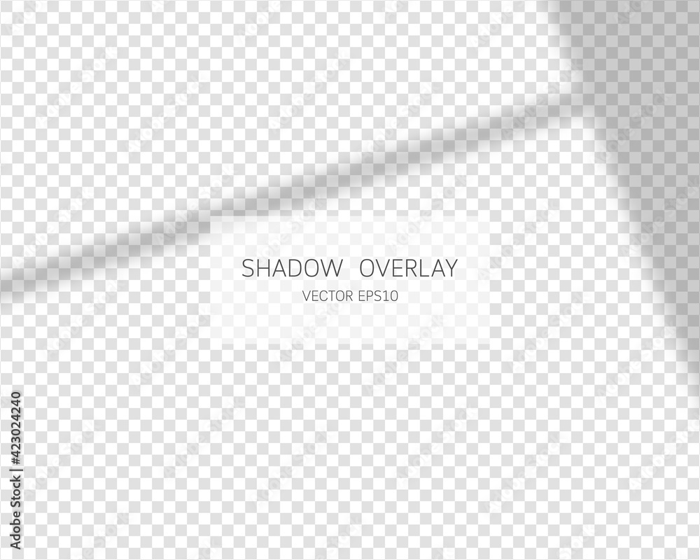 Poster shadow overlay effect. natural shadows from window isolated on transparent background. vector illust