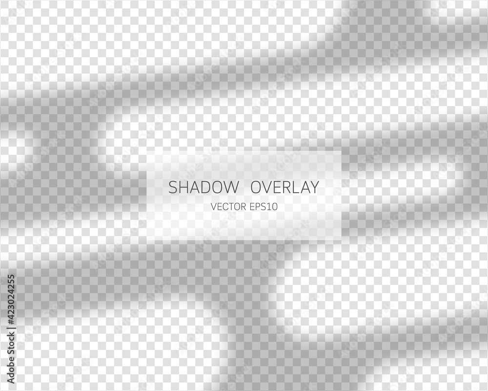 Poster shadow overlay effect. natural shadows from window isolated on transparent background. vector illust