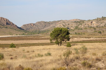 landscape with mountains