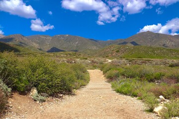 Beautiful Hiking Trail On a Sunny Day with Mountains and Clouds