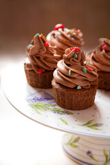 chocolate cupcakes with chocolate cream cheese on a light background.