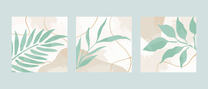 Set 3 illustration vector EPS 10 print hand draw painted abstract shapes dodles contemporary aesthetic boho mid century modern art with plant botanical gardens Scandinavian nordic design style