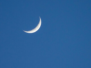 Mond