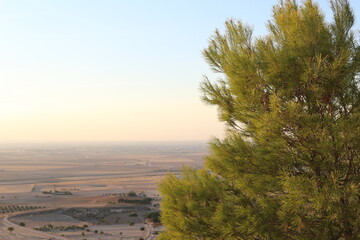 view from the top of the hill