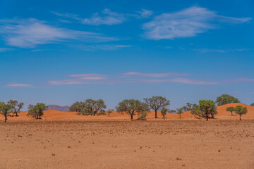 Desert landscape at the Namib-Naukluft National park, Namibia, southern Africa