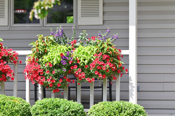 Flower Pots on Porch Railing