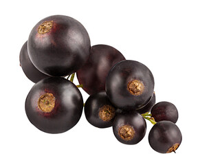 Blackcurrant  isolated on white background with clipping path