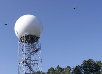 Weather radar (KDOX) as the vultures circle