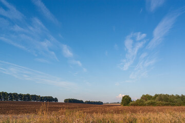 Fototapeta na wymiar landscape with sky