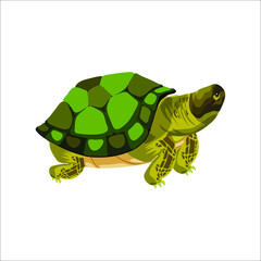 Vector Cartoon Smiling Green Turtle