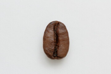 coffee beans isolated