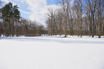 Fototapeta na wymiar Winter in Stirin park and golf course