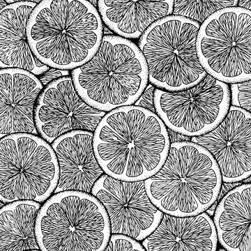 Hand Drawn Slices Of Citrus Fruits, Lime, Lemon, Mandarin Or Orange. Vector Illustration. All Over Prin. Engraved Vintage Style.