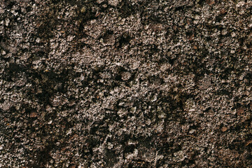 Soil dirt background texture, natural pattern. Agricultural background.