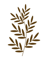 aesthetics plant isolated