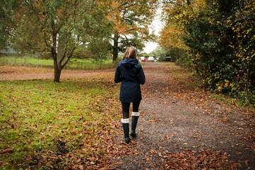 Fototapeta premium Autumn Colours - Afternoon Walk