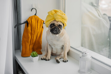pug housewife