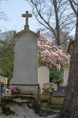 nature symbiosis with death at springtime cemetery - trees and graveyard