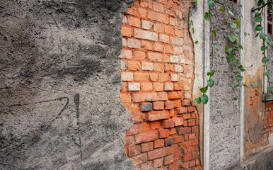 Muro de cimento chapiscado e tijolinhos desgastados em casa antiga abandonada