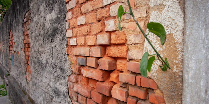 Muro de cimento chapiscado e tijolinhos desgastados em casa antiga abandonada
