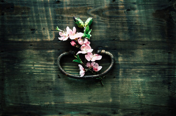 Old wooden doors with knocker and spring flowers. Old classic door handle from medieval times in Europe.