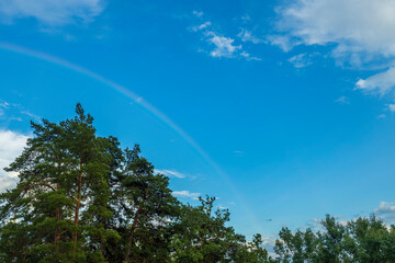 Beautiful view of tops of green trees on blue sky with a rainbow after rain on background. Sweden.
