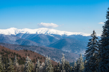 Winter mountain landscape in Romania with snowy Carpathian mountains