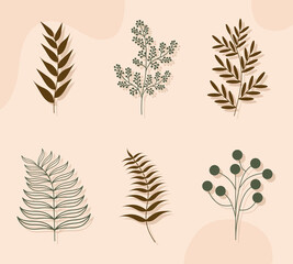 aesthetic plants set