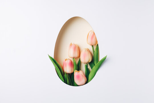 Creative Easter layout with fresh tulip flowers and leaves on bright white and beige paper background. Spring natural concept. Egg shape Easter holiday minimal composition. Flat lay, top view.