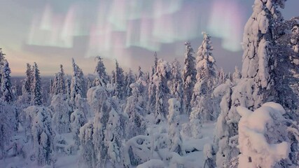 Aerial drone view over snow covered forest, with magical northern lights sky - 3D graphics animation - Powered by Adobe