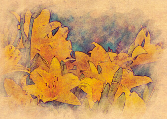 Yellow lily flowers digital art