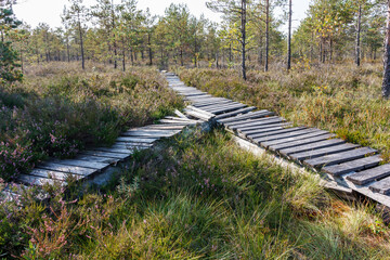 Fototapeta na wymiar Broken wooden path in the forest.