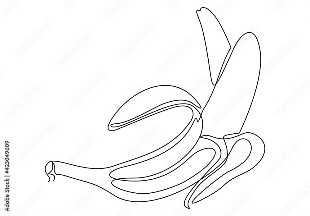 Poster one line drawing of isolated vector object banana
