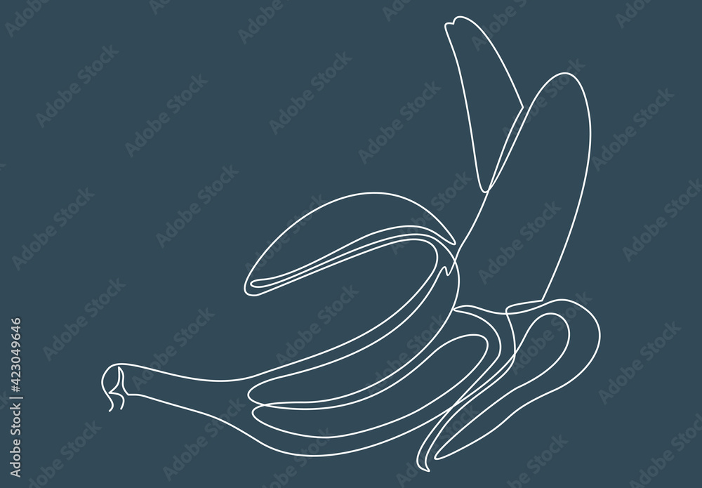 Poster one line drawing of isolated vector object banana