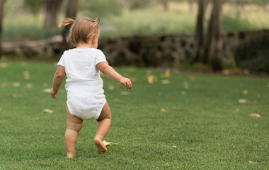 little toddler girl walking grass - obrazy, fototapety, plakaty