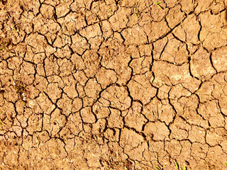 The texture of the dried ground with clay and sand, close-up. Dry soil texture on the ground. Background. The testura. Copy space.