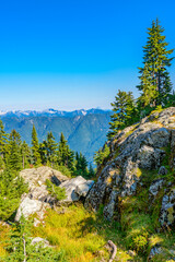 Fragment of Mount Seymour trail in Vancouver, Canada.