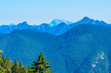 Fragment of Mount Seymour trail in Vancouver, Canada.
