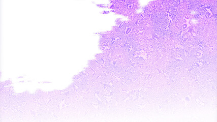 Marble Wallpaper Texture Background Paper Art
You can use this for website background, suitable for use on banners, posters, pages on social media, cover or book design.