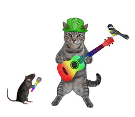 A gray cat in a green hat is standing with a colored acoustic guitar and singing a song. White background. Isolated.